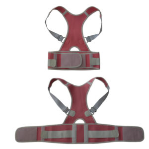 Weight lifting Back Support Belt